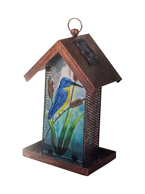 Fountasia Hanging Kingfisher Solar Bird Feeder Metal Glass