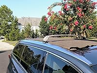 Review Image by kwgriz