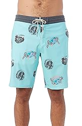 O'NEILL Men's 19 Inch Tropical Print Boardshorts