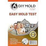 DIY Mold Test, Mold Testing Kit (3 tests). Lab Analysis and Expert Consultation included