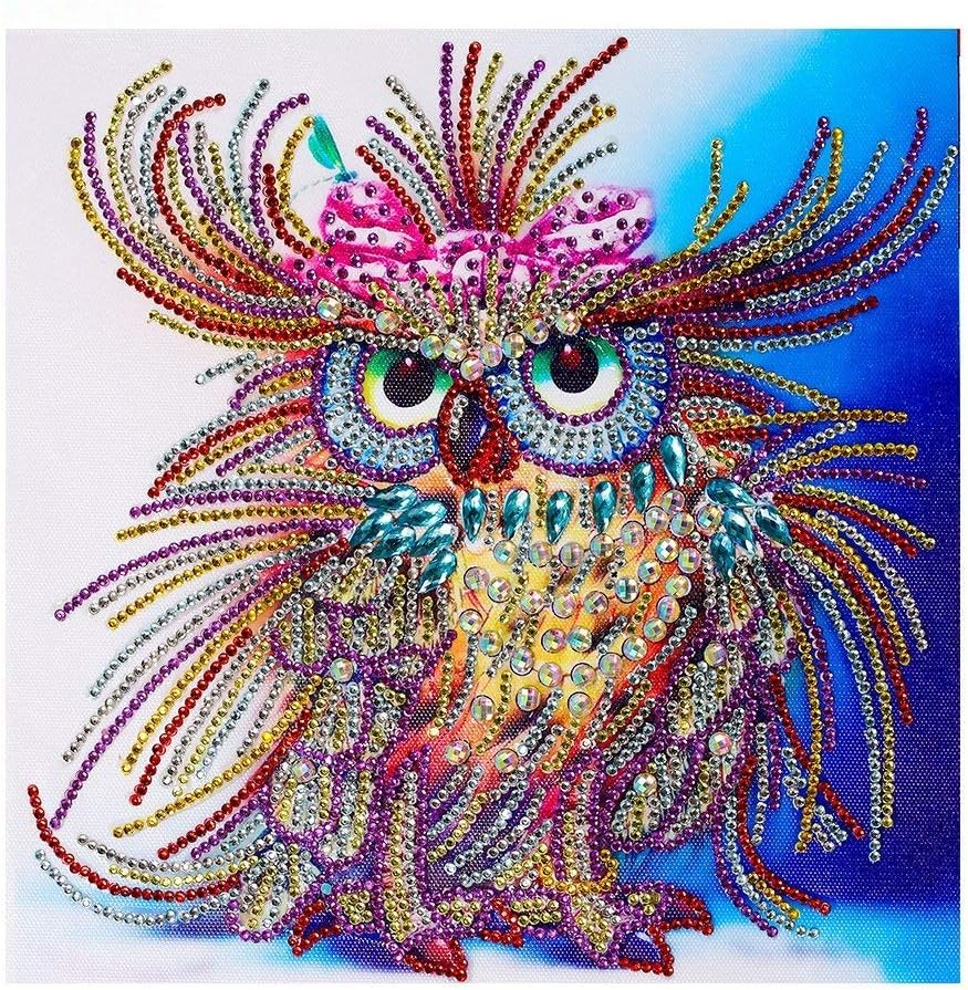 HuaCan Diamond Painting Kits for Adults DIY 5D Special Shape Partial Drill Crystal Rhinestone Embroidery Pictures Arts Craft for Home Wall Decor Owl 24x24cm