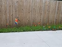 Review Image by Paula Jones