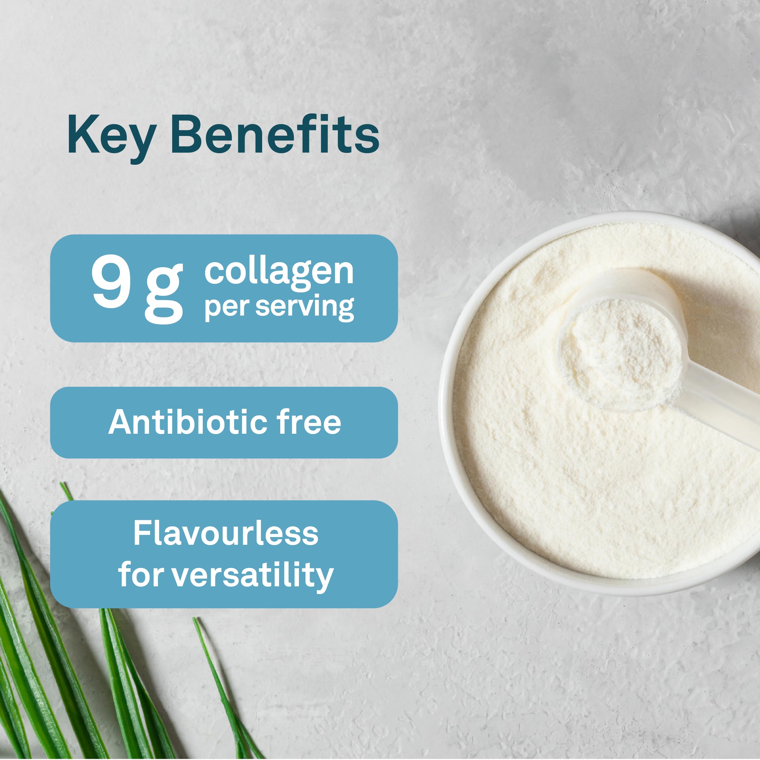 Enhanced Collagen Powder