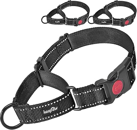 quick release martingale dog collar