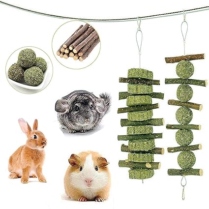 Pin On Lepus Lapin Animal Alchemy Taxidermy