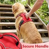 Funfox Dog Harness Large Size No Pull Front Clip Reflective Red L view 5