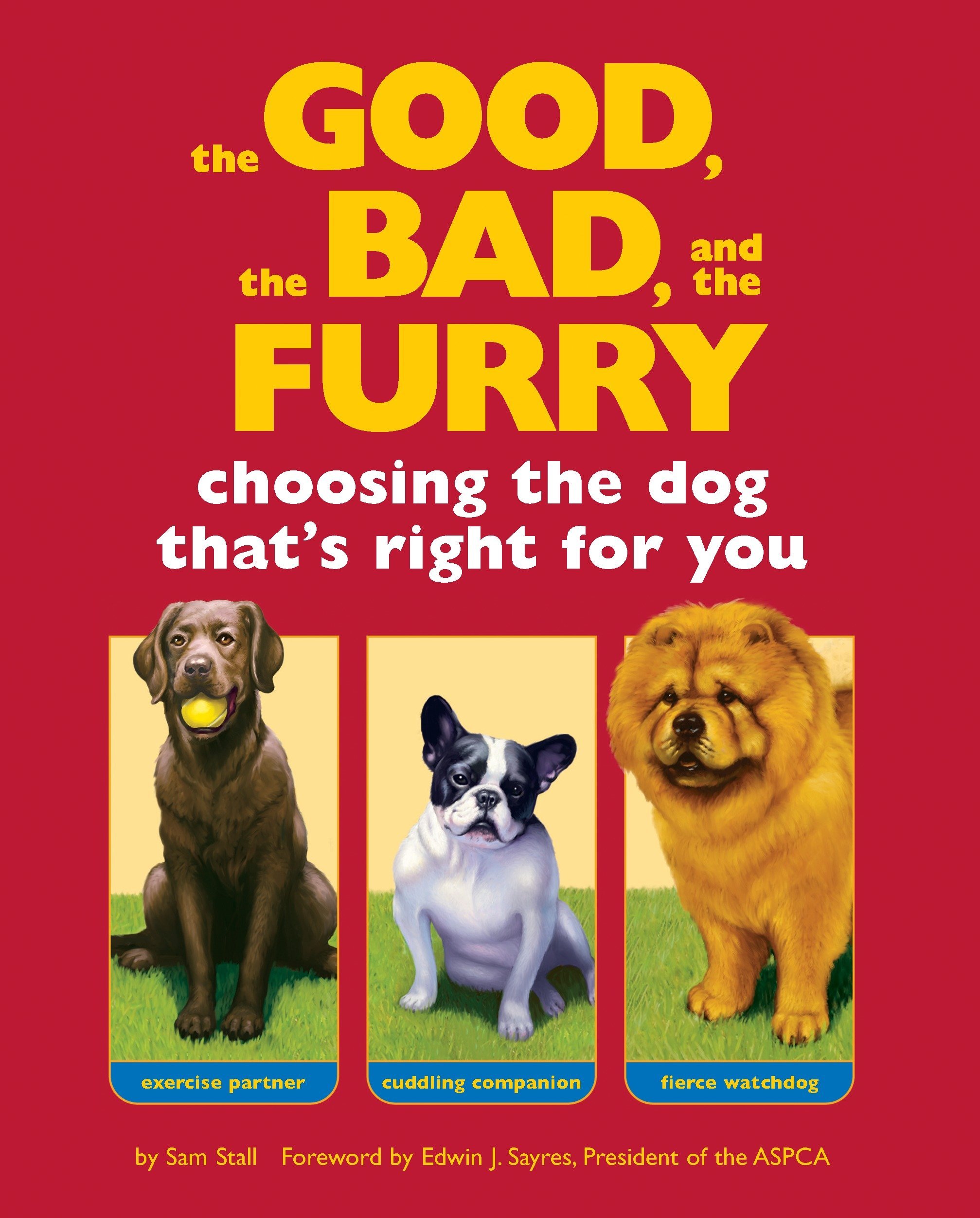 The Good The Bad And The Furry Choosing The Dog That S Right