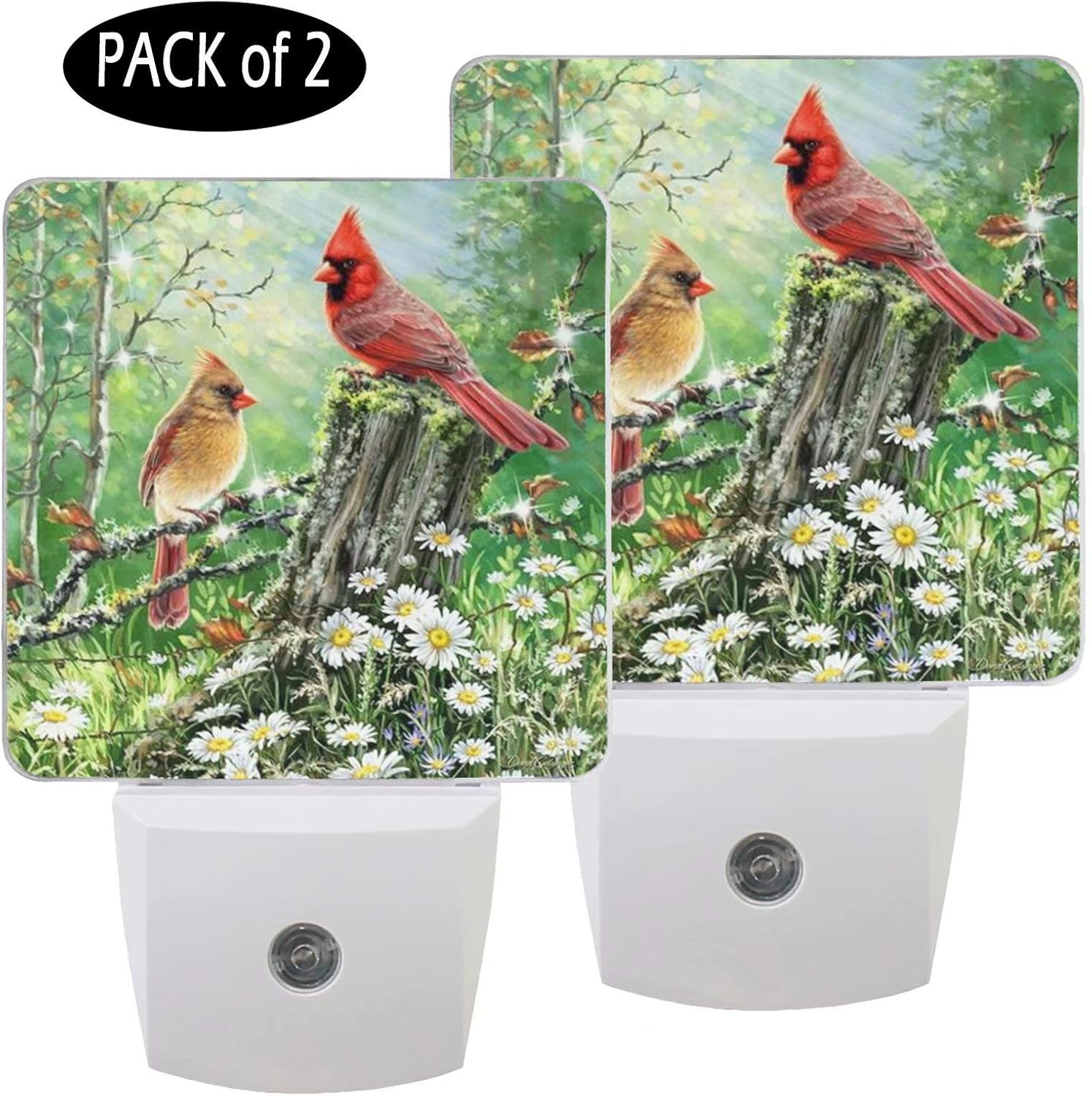 Best Cardinal Birds Decorations Living Room
