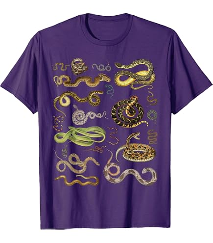 Amazon.com: Types of Mochi T-Shirt : Clothing, Shoes & Jewelry