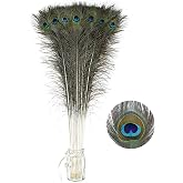 Soarer Long Peacock Feathers Bulk 32-35inch 25Pcs Feathers for Crafting | Natural Green Peacock Feathers,Decorative Large Feathers For Tall vase, DIY Crafts,Weeding,Home Decor,Floral Arrangements