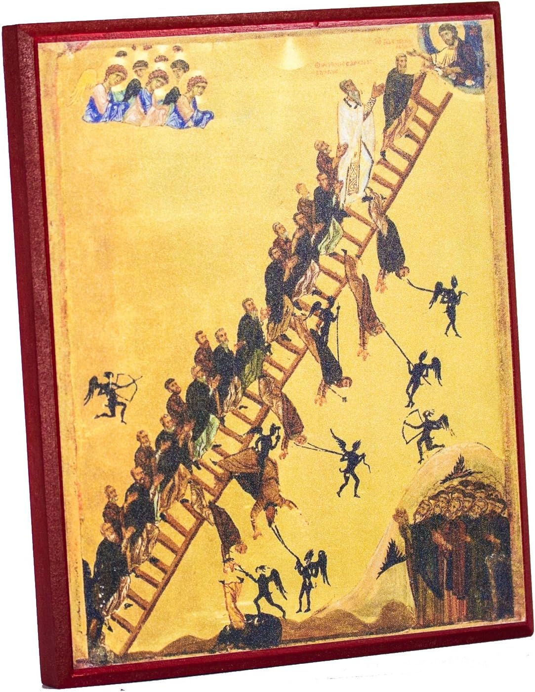 The 9 Best Ascent Ladder