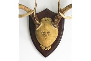 Taxidermists Woodshop TTW Ultimate Antler Mounting Kit - Dark Oak