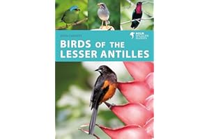 Birds of the Lesser Antilles