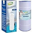 AGOOOZ PLF120A Pool Filter Replaces Hayward C1200, CX1200RE, Unicel C-8412, Pleatco PA120, Filbur FC-1293, Clearwater II 125, Waterway Pro Clean PCCF-125, 817-0125N, 120 sq.ft Cartridge 1 Pack
