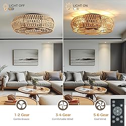 Mcestna Caged Ceiling Fan with Lights - 20 Inch