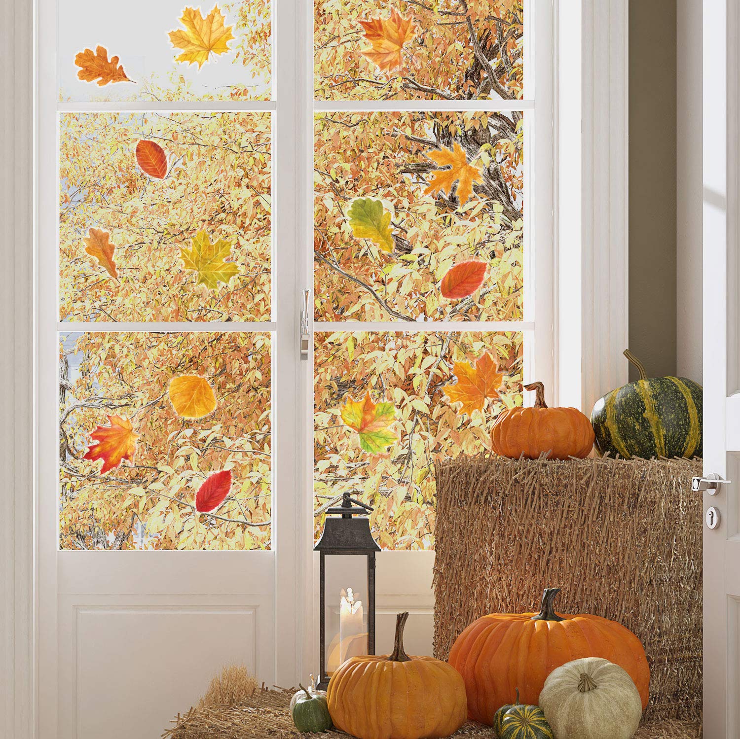 Autumn Leaves Window Stickers | Autumnal Window Stickers | Perfect for Decorating Your Home This Autumn for Halloween | Easy to Apply | Repositionable and Reusable