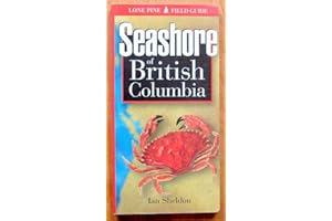 Seashore of British Columbia