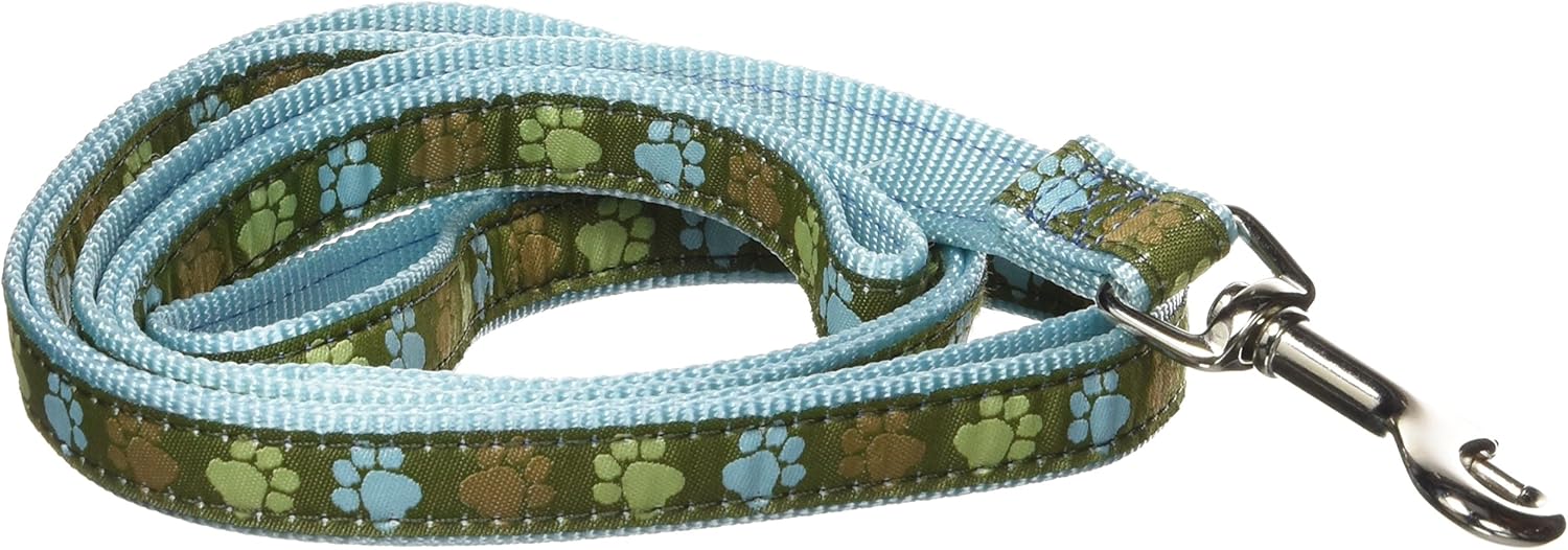 Hamilton Single Thick Dog Leash with Aqua Paws Patterned