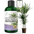 Professional Liquid Dracaena Plant Fertilizer | 3-1-2 Concentrate for Indoor Plants | Multi-Purpose Blend & Gardening Supplies | 8 oz Bottle