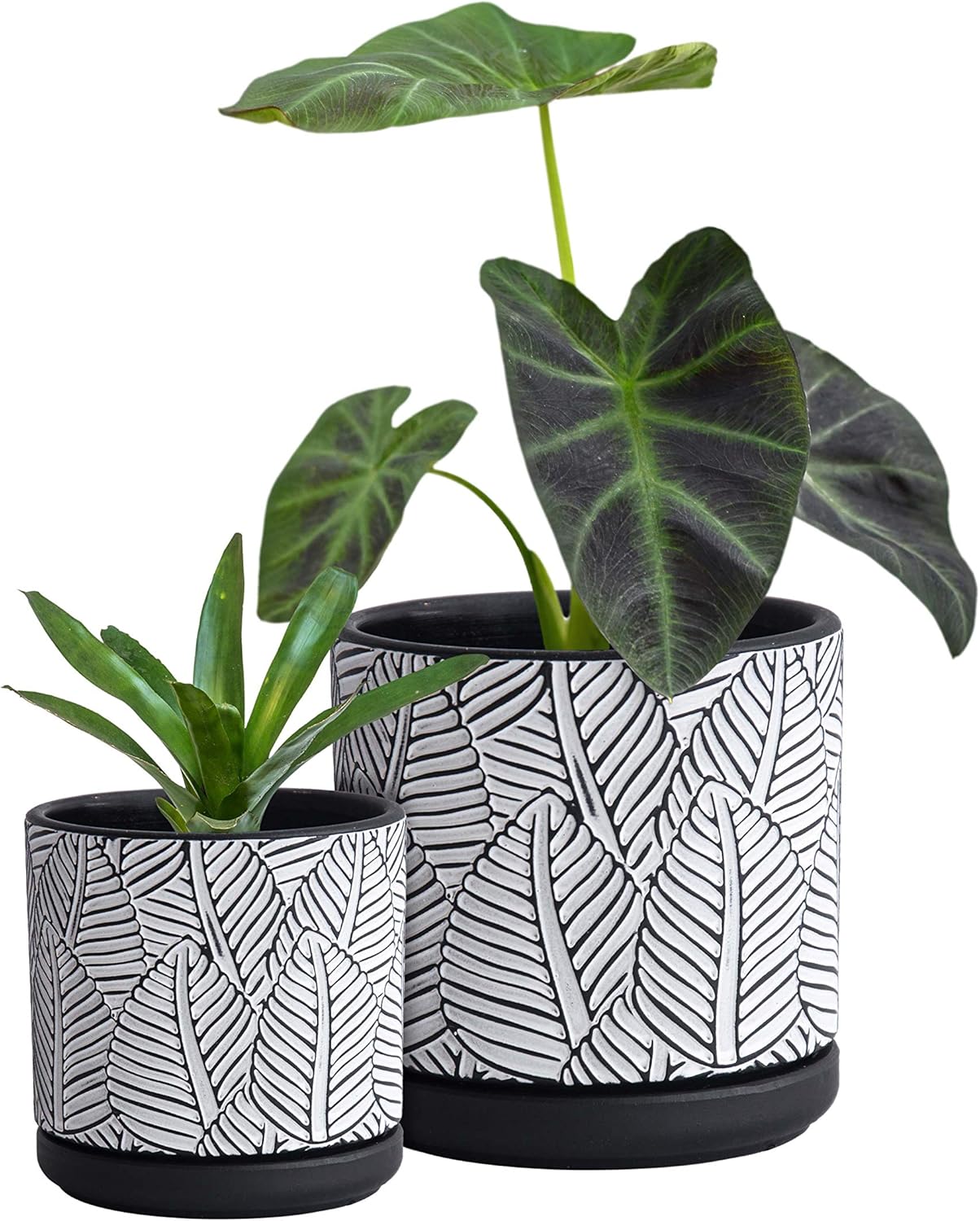 Set of 2, Broadleaf Pattern Planter Pot, 4.5 Inch and 6.4 Inch, Pot with Drainage Hole and Saucer, Black/White, 31-958-H-2 : Kitchen & Dining