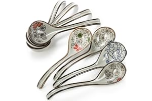 Cididu 8 Pcs Asian Ceramic Soup Spoons, Japanese Ramen Spoon with Long Curved Handle, Chinese Soup Spoon, Porcelain Tablespoo