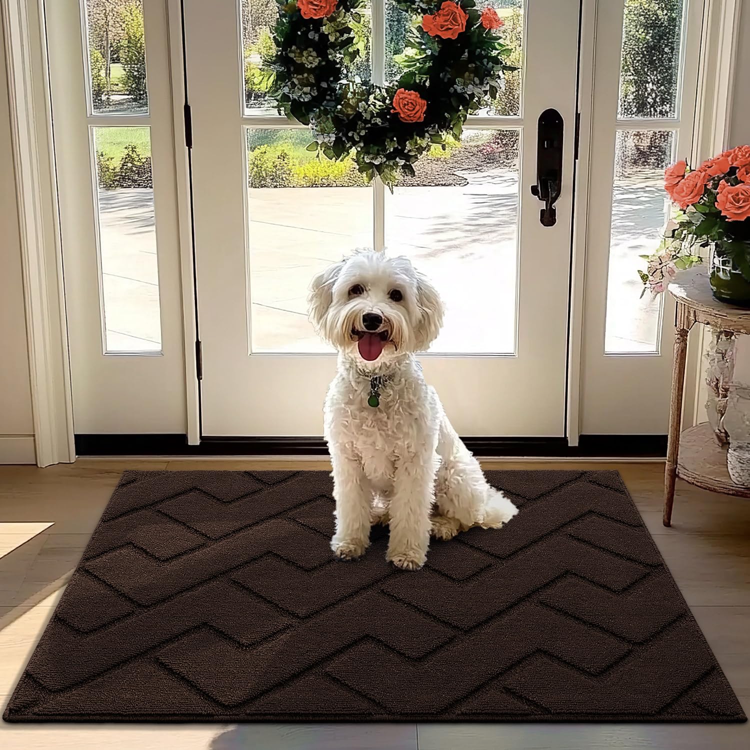 Biscpro Door Mat, 80x100cm DoorMat Indoor Washable, Doormat Indoor Dirt Trapper Non-slip,Absorbent Inside Entrance Rug Mat for Entryway,Patio,Garden,Laundry Room,Pets - Coffee