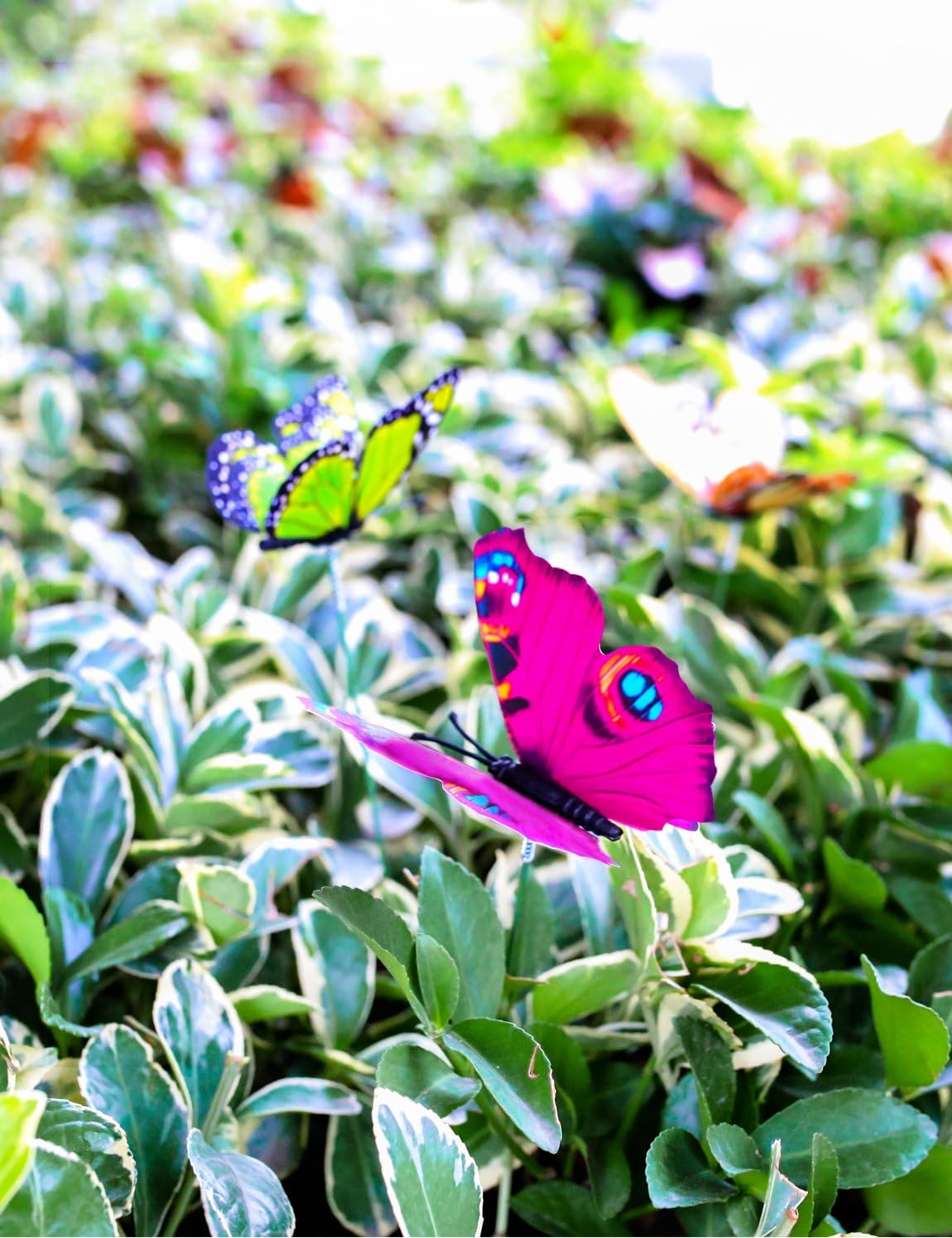 VGOODALL Butterfly Stakes, 50pcs 11.5inch Garden Butterfly Ornaments, Waterproof Butterfly Decorations for Indoor/Outdoor Yard, Patio Plant Pot, Flower Bed, Home Decoration: Garden & Outdoor