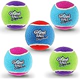 Gigwi Squeaky Tennis Ball Dog Toys, Interactive Dog Ball for Small and Medium Dogs Training, 2.5” Colorful and High Bounce Ru