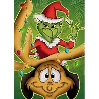 NAIMOER Christmas Diamond Painting Kits for Adults, Diamond Painting Grinch Diamond Art Kits Geming Painting for Home…