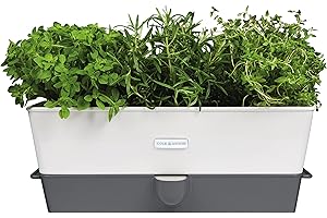 Cole & Mason Burwell Self-Watering Potted Herb Saver, Windowsill Planter Indoor/Outdoor Herb Box, Triple, Suitable for 3 pots