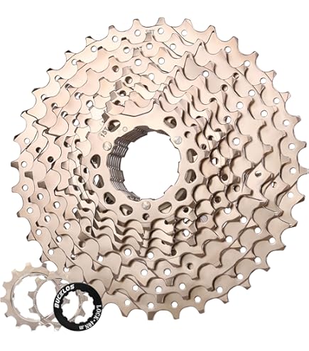 Amazon.com : Shimano CS-HG400 9 Speed Mountain Silver 11/34T