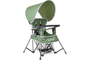 Baby Delight Go with Me Venture Portable Chair | Indoor and Outdoor | Sun Canopy | 3 Child Growth Stages | Moss Bud Green