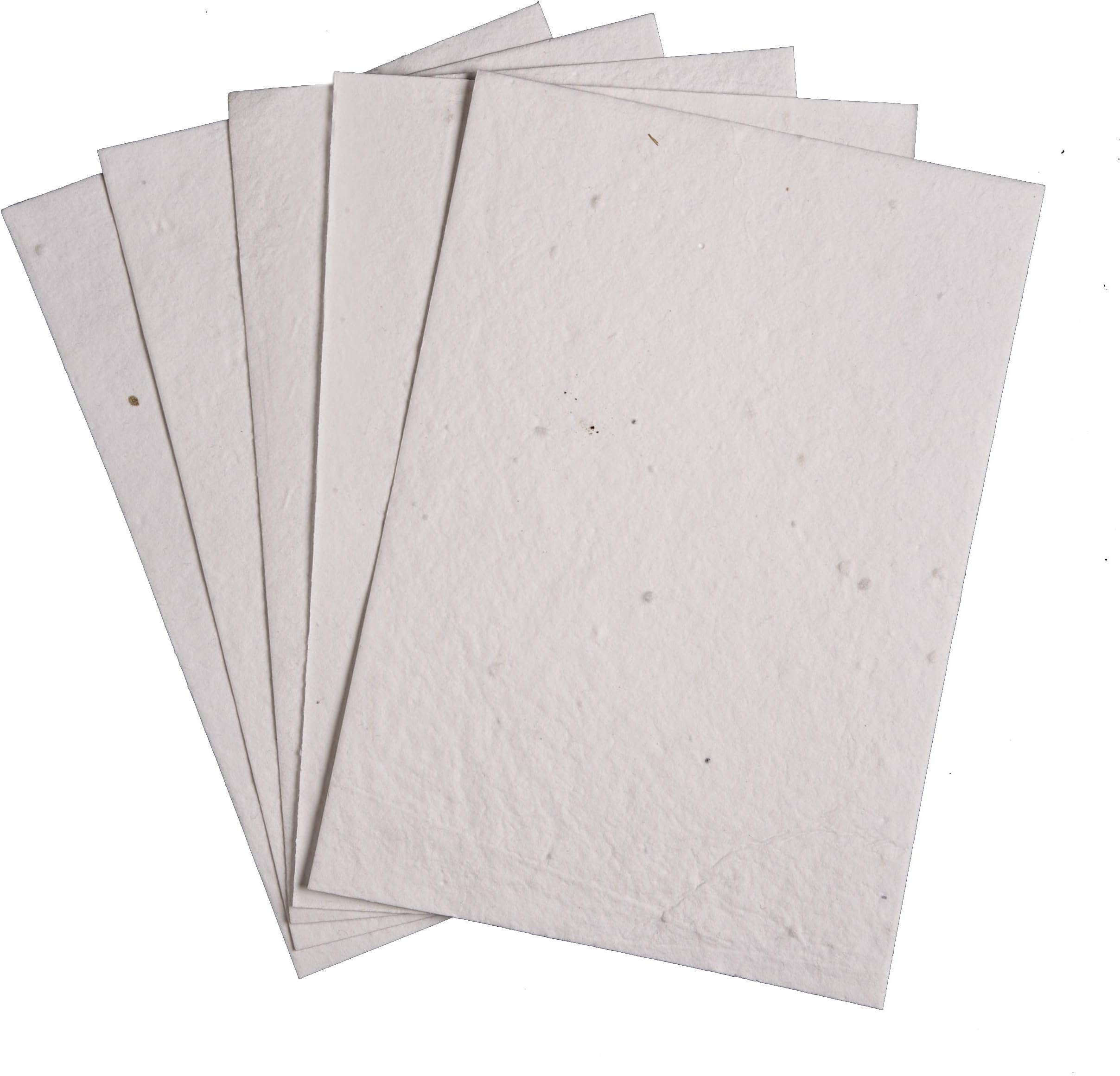 Plantables Mixed Vegetables Seed Paper (100 Sheets) (A5 (200 GSM))
