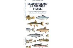 Newfoundland & Labrador Fishes