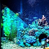 NATPOW RGB Underwater Pond Lights 6 LEDs IP68 5V Submersible w/ APP Remote view 6