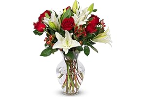 Benchmark Bouquets - Red Elegance (Glass Vase Included) - Fresh Flowers for Next Day Delivery - Gift for Christmas, Birthday, Anniversary, Sympathy, Get Well, Congratulations