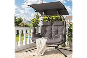 Double Egg Chair with Adjustable Canopy, Hanging Swing Chair, Hammock Chair with Cushion Basket Hammock Nest Chair, Swinging 
