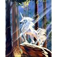 Amazon.com: Light in the Forest Sue Dawe Unicorn Horse Wall Decor Art ...