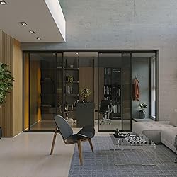 Doors 55 Glass Room Divider Panel and Partition