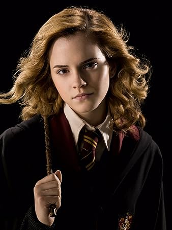 Hermione Granger Harry Potter Quotes Get Motivated Poster 12 X