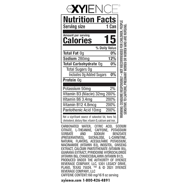 XYIENCE BLUEBERRY POMEGRANATE ENERGY DRINK, 16 FL OZ CAN (PACK OF 12)