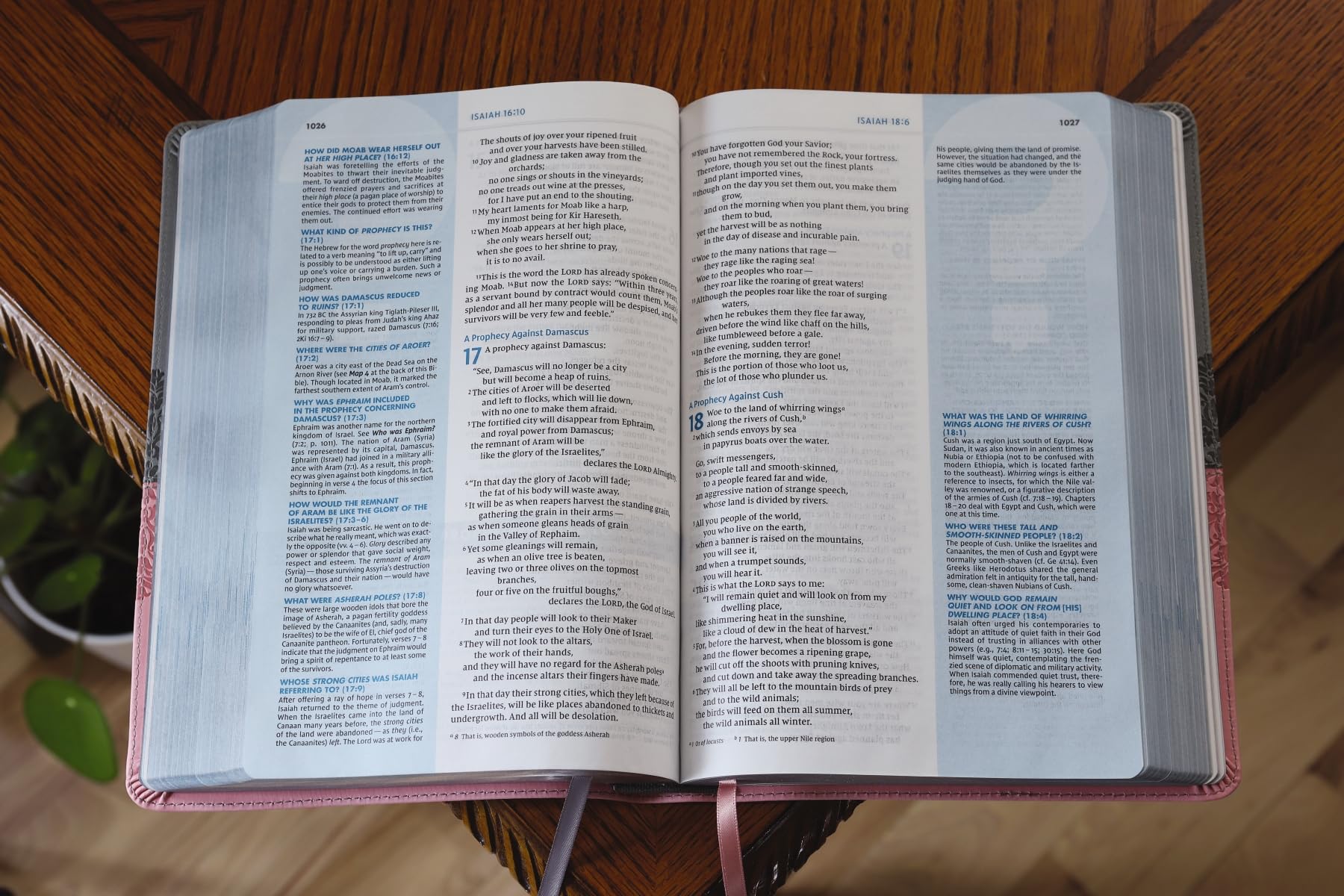 NIV, Quest Study Bible, Leathersoft, Gray/Pink, Comfort Print: The Only Q and A Study Bible NIV, Quest Study Bible, Leathersoft, Gray/Pink, Comfort Print: The Only Q and A Study Bible Imitation Leather