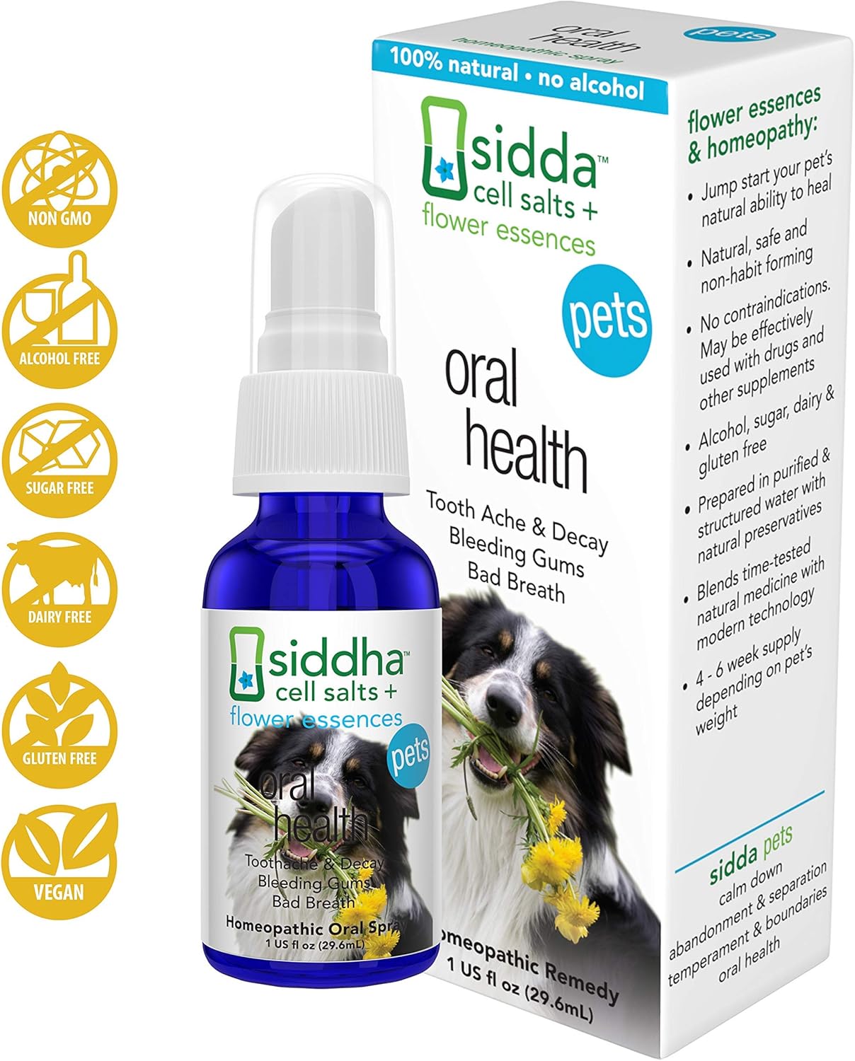 is gluten bad for dogs