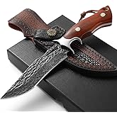 DRACHENADER Damascus Hunting Knife Handmade VG10 67-Layers Damascus Steel Bowie Knife with Real Leather Sheath Fixed Blade for Men, Wood Handle