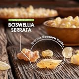 ALPHA01 Boswellia Serrata Extract 3000mg 65% Boswellic Acid 60 Caps view 4