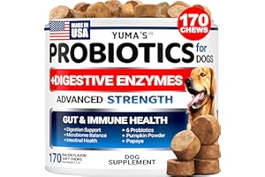 Probiotics for Dogs - Dog Probiotics Chewables - 170 Probiotic Chews - Digestive Enzymes - Prebiotics - Reduce Diarrhea, Alle