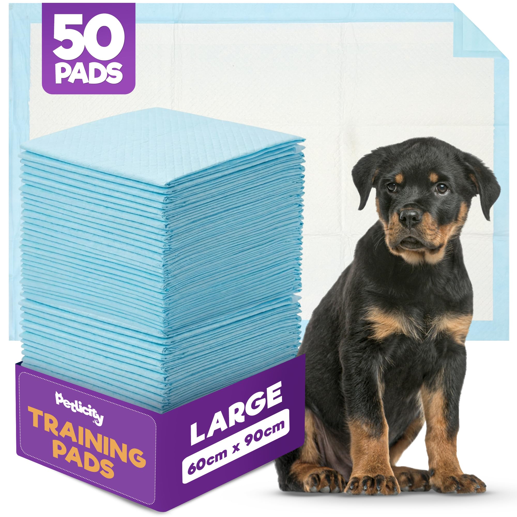 Petlicity 50 Pack Large Puppy Pads - Disposable Puppy Training Pads, Highly Absorbent Leak-Proof Dog Training Pads, Premium Quality Quick-Dry Dog Pads Pee Pads Dogs Mat (60x90cm)