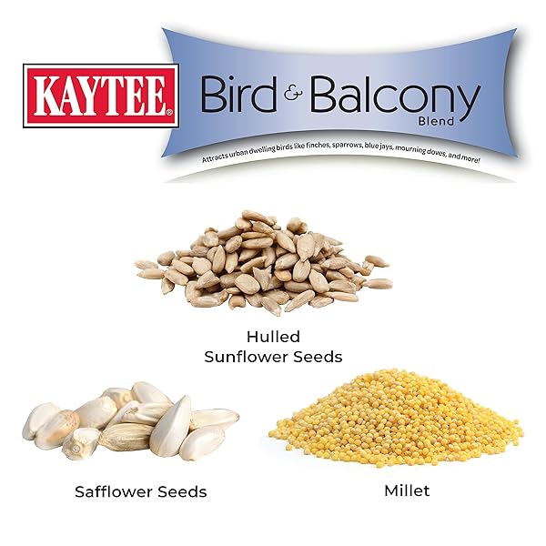 KAYTEE BIRD & BALCONY WILD BIRD FOOD NO MESS SEED BLEND FOR CITY DWELLING BIRDS LIKE FINCHES, SPARROWS, MOURNING DOVES AND MORE, 5 LB