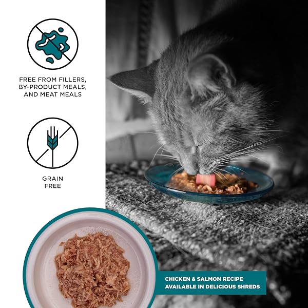 BIXBI LIBERTY CANNED WET CAT FOOD – GRAIN FREE, CHICKEN AND SALMON RECIPE IN BROTH, 2.75 OUNCE (PACK OF 24)