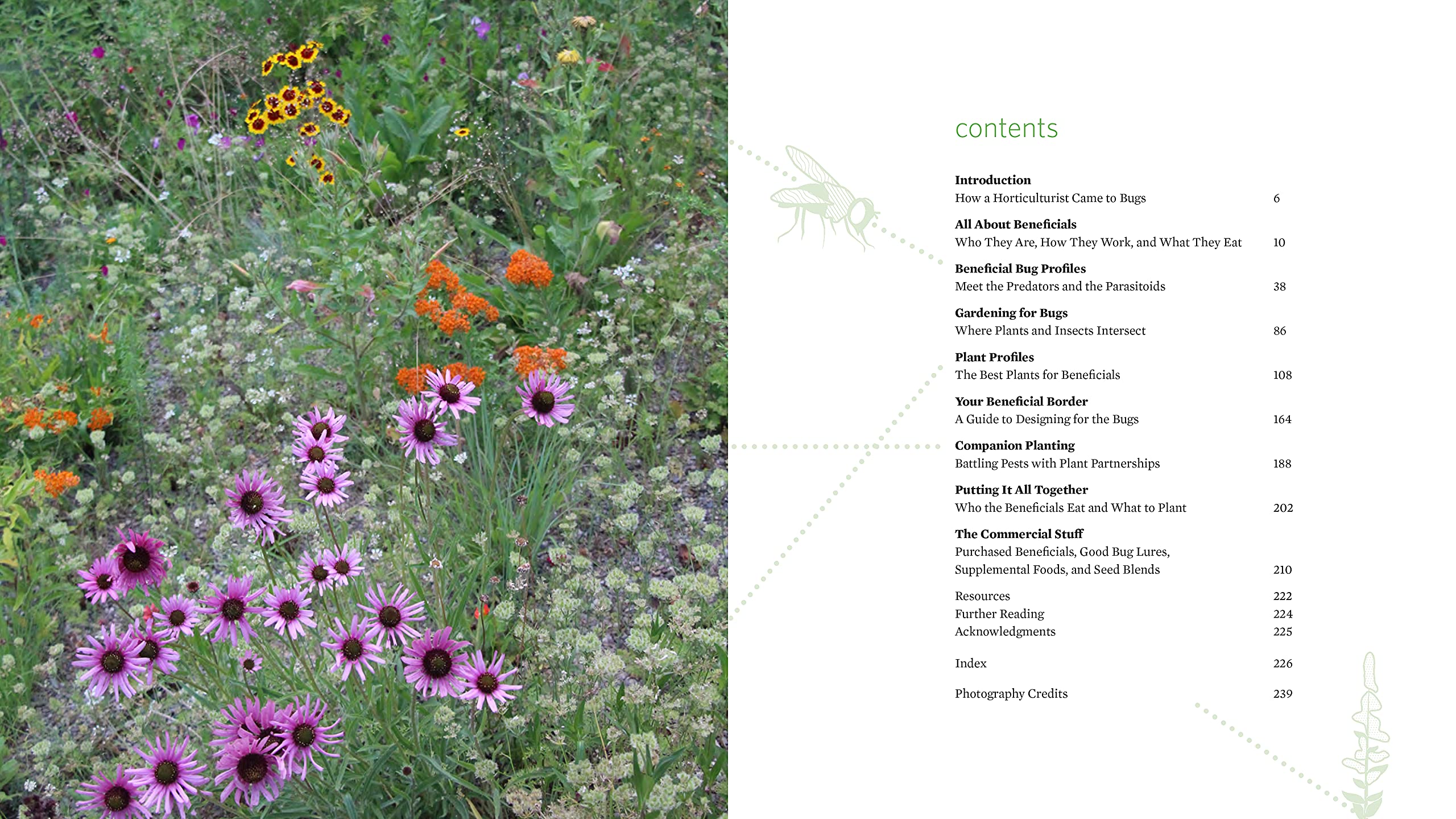 Attracting Beneficial Bugs to Your Garden, Revised and Updated Second Edition: A Natural Approach to Pest Control